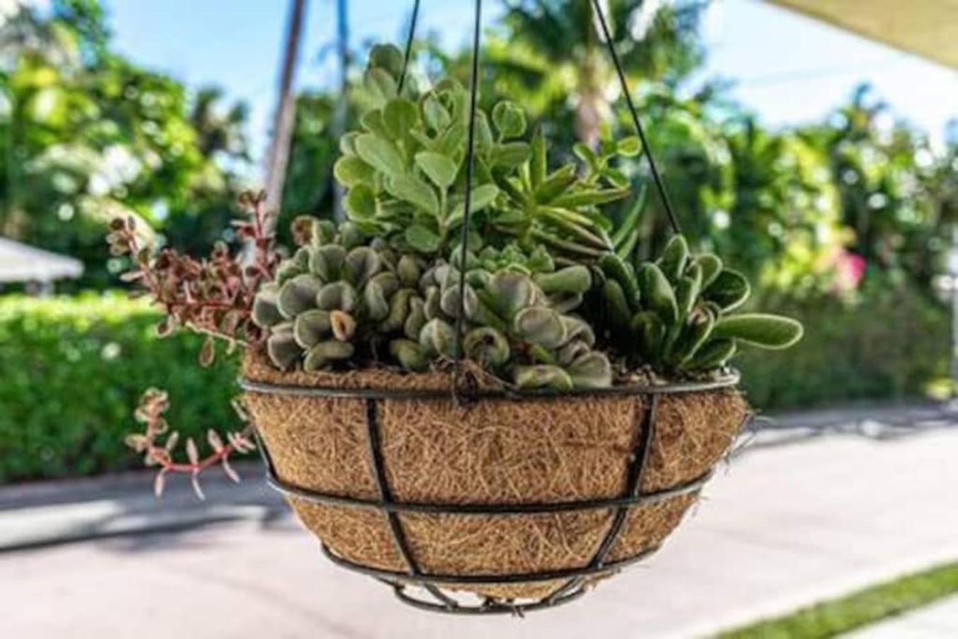 Olive Apart Unit 1 By Pmi West Palm Beach Buitenkant foto